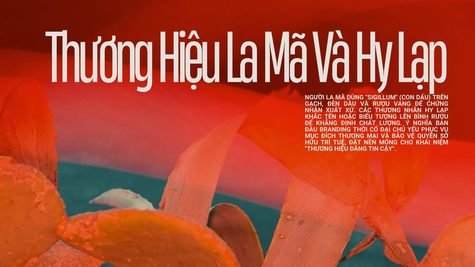 Thương hiệu đỏ Slidered0034